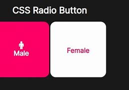 Image result for Square Radio Button