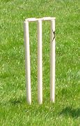 Image result for Wicket Cricket Stilloute