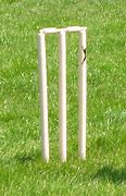 Image result for A Soaked Wicket Table Cricket