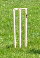 Image result for Cricket Mid Wicket