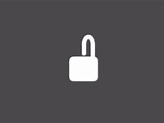 Image result for Apple Lock Icon