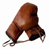 Image result for 10 Oz Boxing Gloves