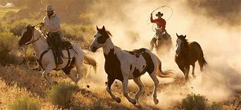 Image result for The Wild West