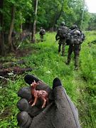 Image result for Atropia Soldiers