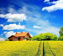 Image result for Sunny Day Pictures Free