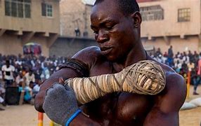 Image result for African Martial Arts Styles Logo