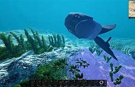 Image result for Ecosystem Game Computer