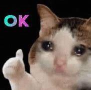 Image result for Cute Cat Crying Meme