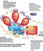 Image result for Gene Parts