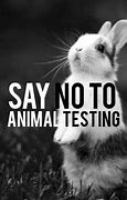 Image result for Say No to Animal Testing