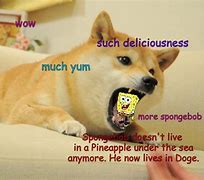 Image result for Spongebob Doge Meme