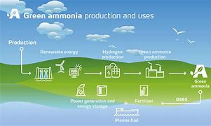 Image result for Ammonium Carbonate