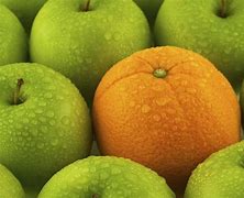 Image result for Orange Apple Fruit
