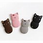 Image result for iPhone Cat Phone Case