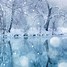Image result for snow background