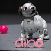 Image result for Aibo 300