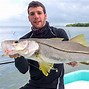 Image result for Snook Fishing