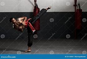 Image result for Martial Arts Kick