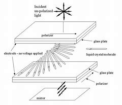 Image result for Liquid Crystal Matrix Image