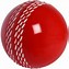 Image result for Things for Cricket