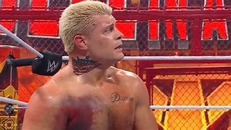 Image result for Cody Rhodes Patch