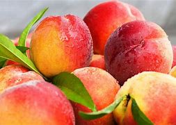 Image result for Peach Fruit Background