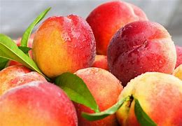 Image result for Peach Fruit