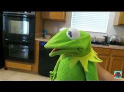 Image result for Kermit the Frog Death