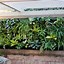 Image result for Vertical Garden Wall