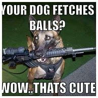 Image result for German Shepherd Protection Memes