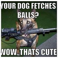 Image result for army dogs meme
