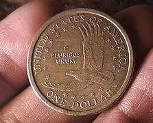 Image result for 2000P Sacagawea Dollar Coin Composition