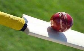 Image result for Cricket Background