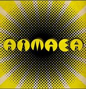 Image result for aimaea