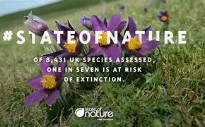Image result for State of Nature