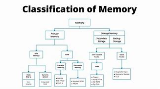 Image result for 9 Types of Memory