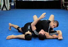 Image result for MMA Holds