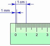 Image result for How Big Is 56 Centimeter