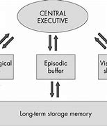 Image result for What Is Working Memory Theory