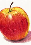 Image result for Apple Fruit Drawing
