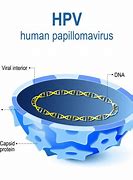 Image result for Human Papilloma Symptoms