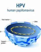 Image result for HPV Virus Infection