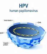 Image result for Human Papillomavirus Infection