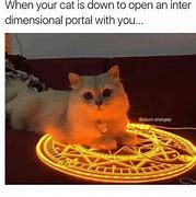 Image result for Cat Portal Meme