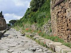 Image result for Pompeii Volcano Victims