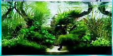 ada aquascape aquarium design 90cm ada aquascape aquarium ada aquascape aquarium design 90cm ada aquascape aquarium