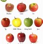Image result for Do They Like Apple's