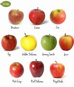 Image result for Fruioty Apple