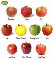 Image result for 9 Apple's