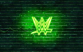 Image result for WWE Wrestling Entertainment Championships